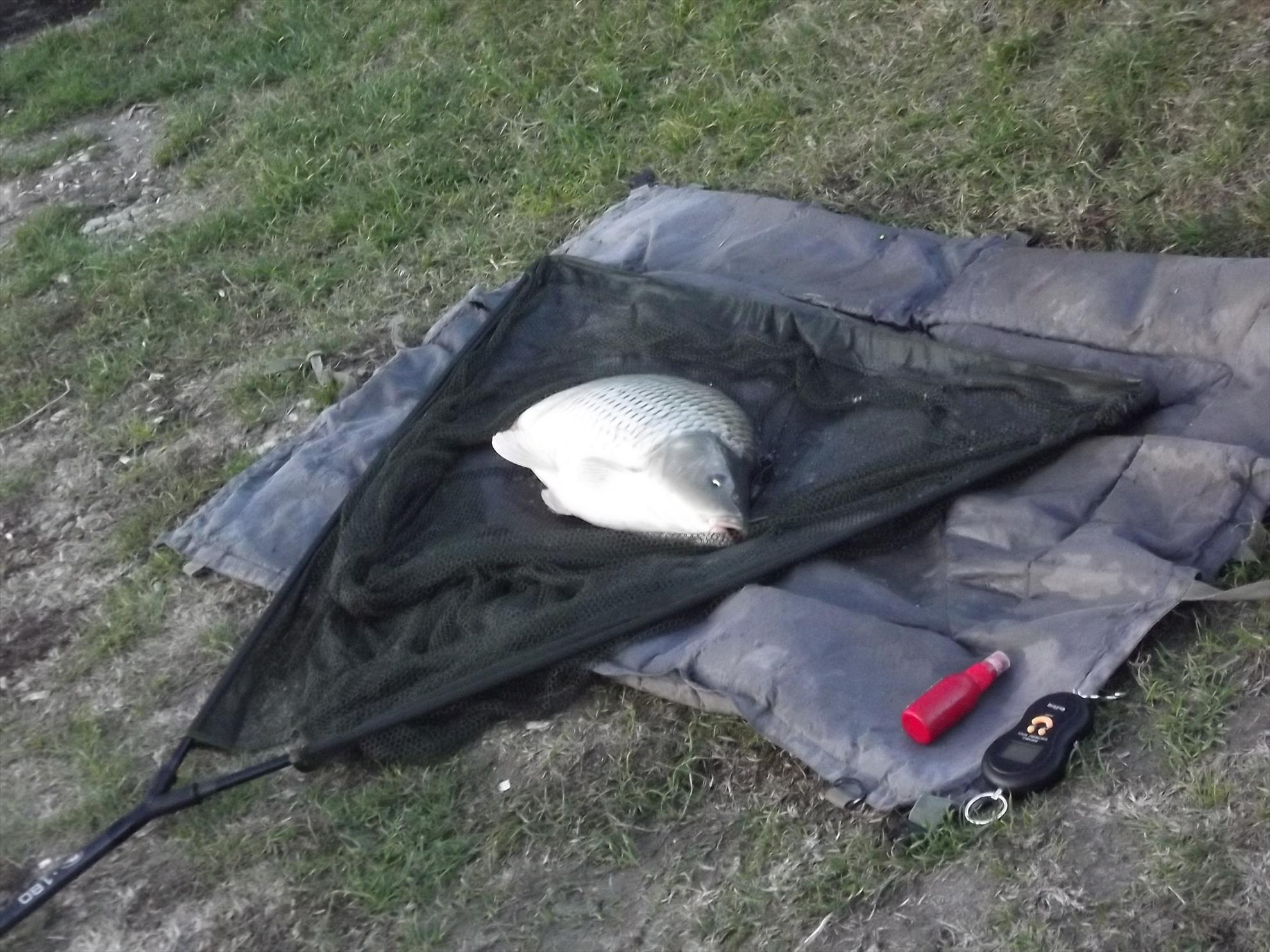 pescuit M.Vlasiei  2012 - dscf0299.JPG